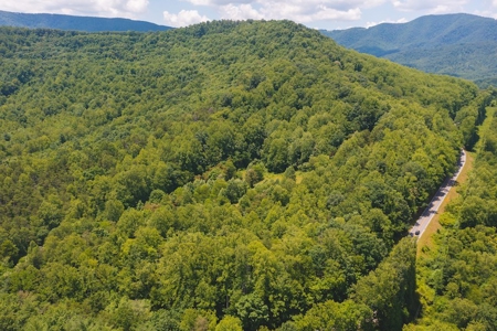 Recreational Land for Sale in Woolwine VA - image 20