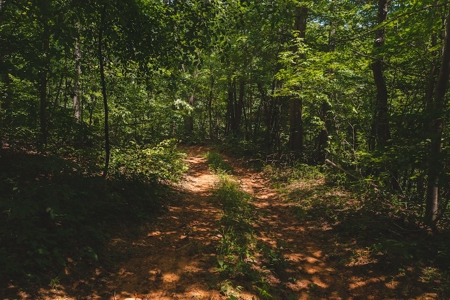 Recreational Land for Sale in Woolwine VA - image 30