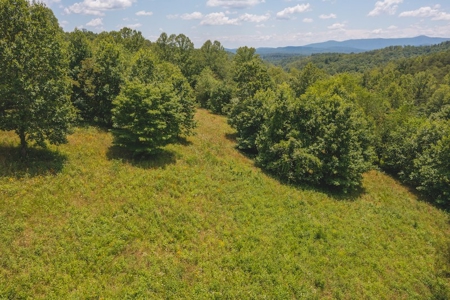 Recreational Land for Sale in Woolwine VA - image 10