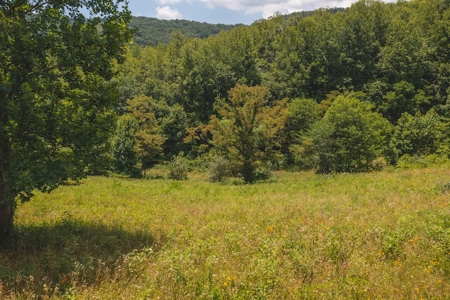 Recreational Land for Sale in Woolwine VA - image 9
