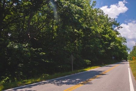Recreational Land for Sale in Woolwine VA - image 3