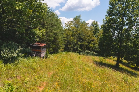 Recreational Land for Sale in Woolwine VA - image 22