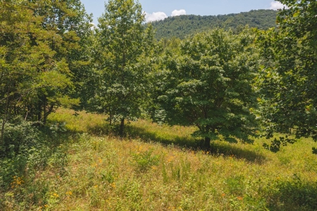 Recreational Land for Sale in Woolwine VA - image 8