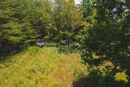 Recreational Land for Sale in Woolwine VA - image 21