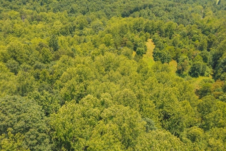 Recreational Land for Sale in Woolwine VA - image 15