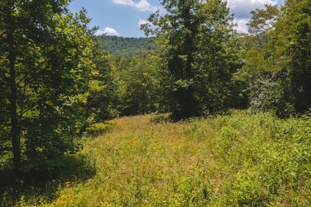 Recreational Land for Sale in Woolwine VA - image 29