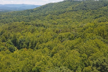 Recreational Land for Sale in Woolwine VA - image 14