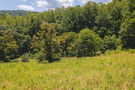 Recreational Land for Sale in Woolwine VA - image 24