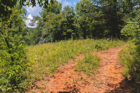 Recreational Land for Sale in Woolwine VA - image 28