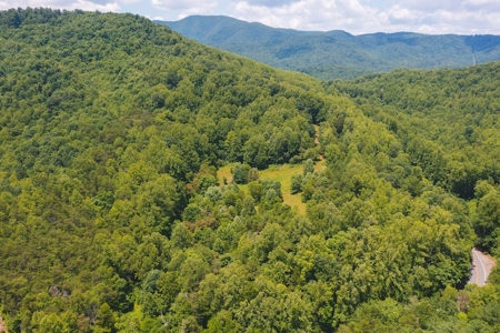 Recreational Land for Sale in Woolwine VA - image 19
