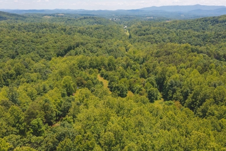 Recreational Land for Sale in Woolwine VA - image 13
