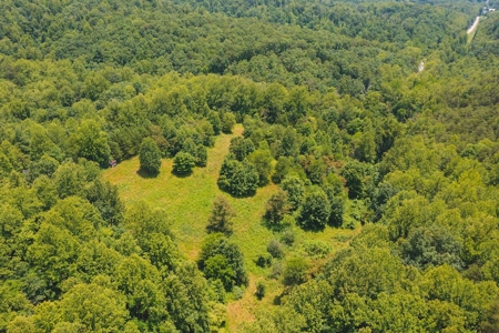 Recreational Land for Sale in Woolwine VA - image 17