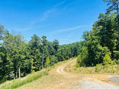 House With 20 Acres For Sale Near Norfork Lake In Arkansas - image 29