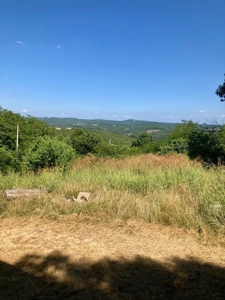Mountain Home or Rental Near Buffalo National River For Sale - image 15