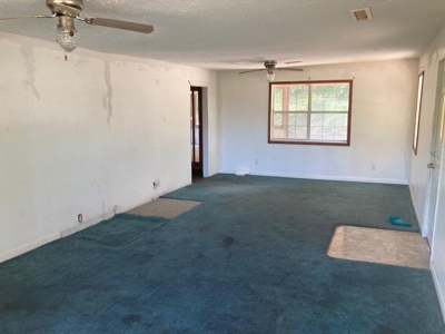 Mountain Home or Rental Near Buffalo National River For Sale - image 12