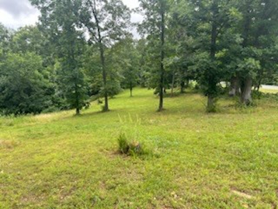 Acreage on Scenic HWY 14--Buffalo Point Area - image 32