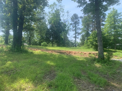 Acreage on Scenic HWY 14--Buffalo Point Area - image 15