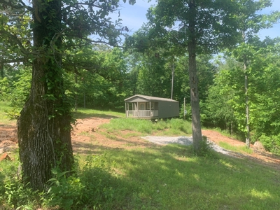 Acreage on Scenic HWY 14--Buffalo Point Area - image 13