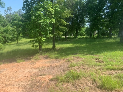 Acreage on Scenic HWY 14--Buffalo Point Area - image 17
