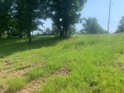 Acreage on Scenic HWY 14--Buffalo Point Area - image 16