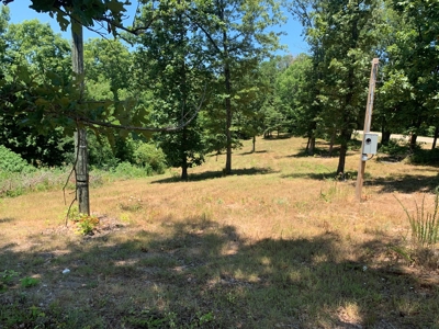 Acreage on Scenic HWY 14--Buffalo Point Area - image 12