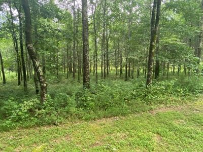Log Home, Barn & 18 Acres, Plus additional 21 Acres For Sale - image 29