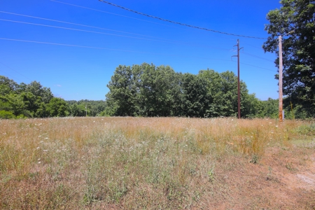 Home in the Country with 10+ Acres For Sale in Fordland, MO - image 4