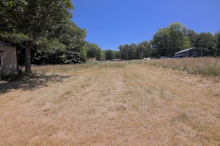 Home in the Country with 10+ Acres For Sale in Fordland, MO - image 5