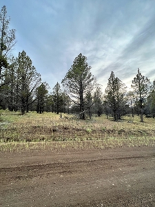 Vacant Land for Sale in Modoc Co. - image 3