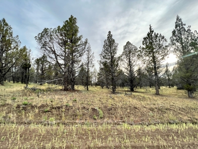 Vacant Land for Sale in Modoc Co. - image 1