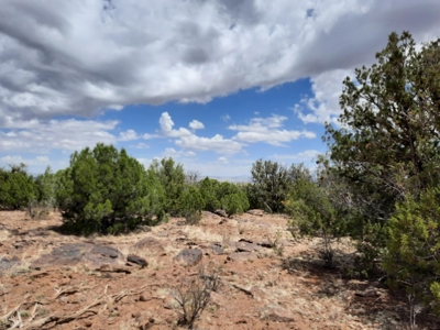Ultimate Hunting Property - image 10