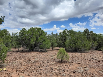Ultimate Hunting Property - image 2