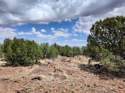 Ultimate Hunting Property - image 4
