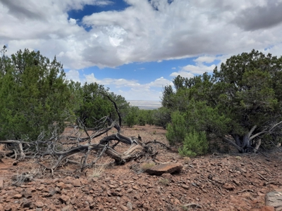 Ultimate Hunting Property - image 14