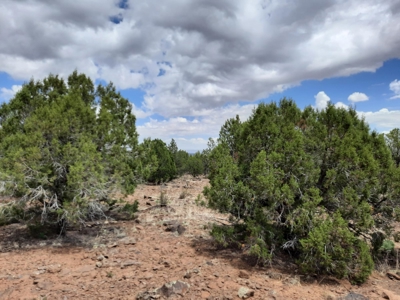 Ultimate Hunting Property - image 6