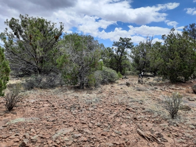 Ultimate Hunting Property - image 8