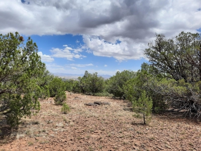Ultimate Hunting Property - image 1