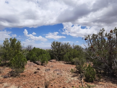 Ultimate Hunting Property - image 12