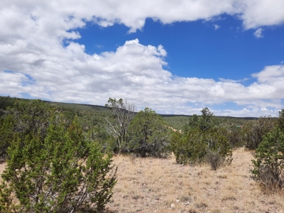 Ultimate Cabin Site - image 8