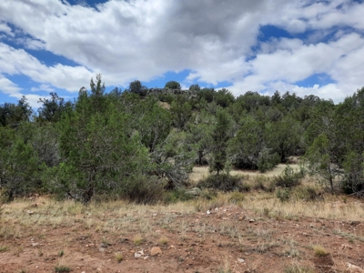 Ultimate Cabin Site - image 12