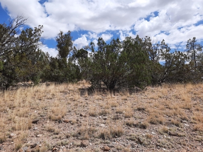Ultimate Cabin Site - image 9