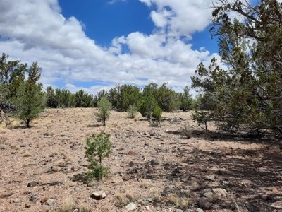 Ultimate Cabin Site - image 6