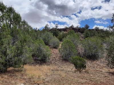 Ultimate Cabin Site - image 14