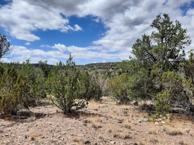 Ultimate Cabin Site - image 1