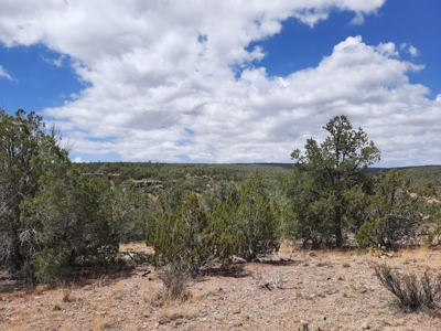 Ultimate Cabin Site - image 10