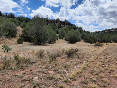 Ultimate Cabin Site - image 13