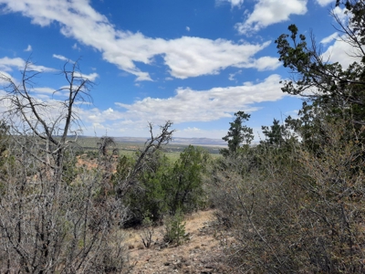 Great Views - image 1