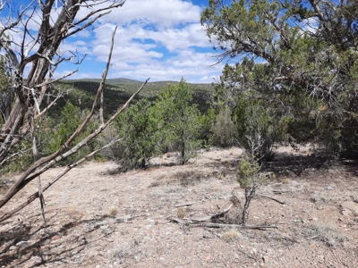 Great Views - image 4