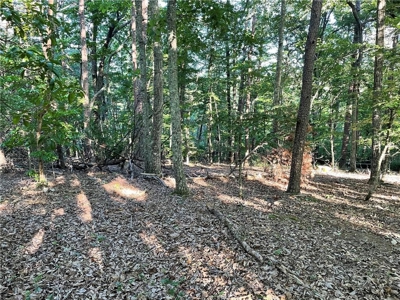 Beautiful Lake Front Property in North Georgia Mountains - image 10