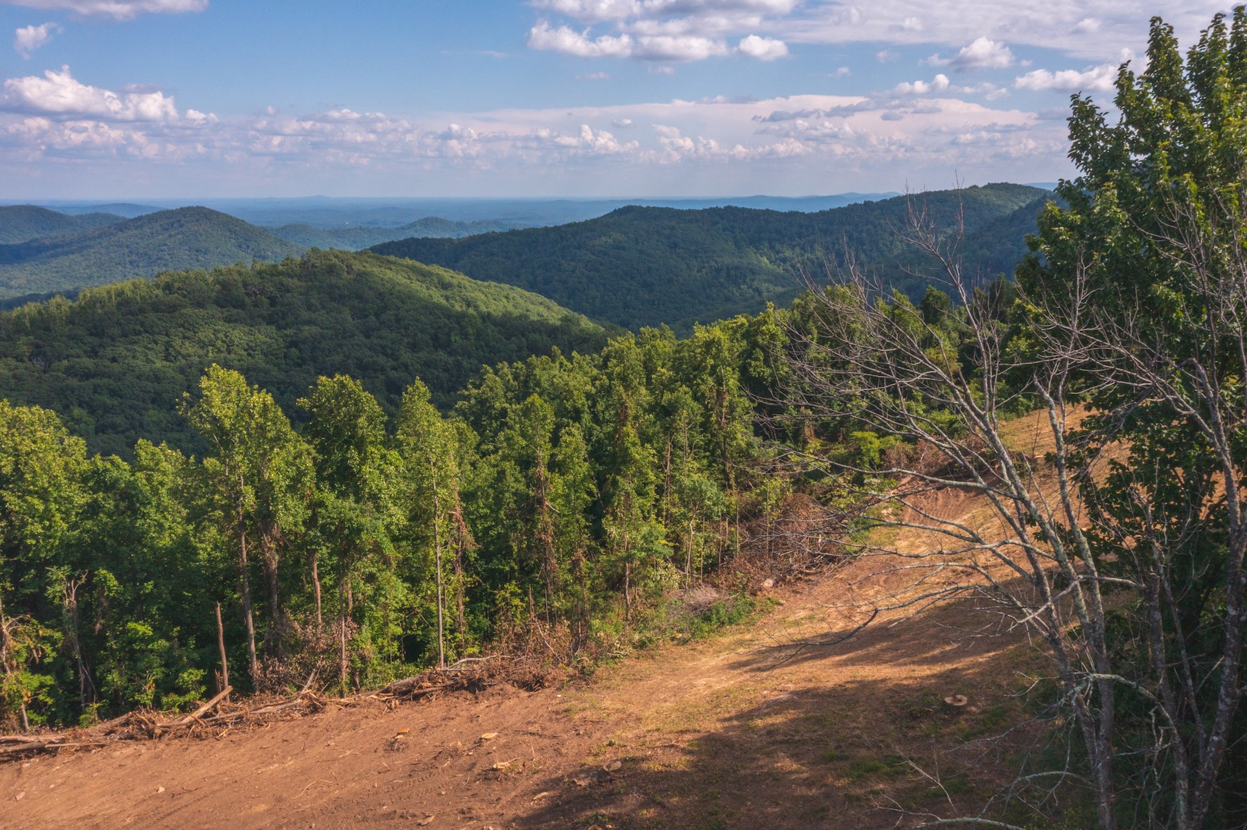 Land for Sale in Callaway VA!